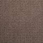 Dixie Home Galliard Carpet in Keystone, , large