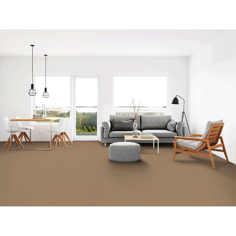 Dixie Home Gladys Carpet in Cabot Trail, , large