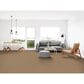 Dixie Home Gladys Carpet in Cabot Trail, , large