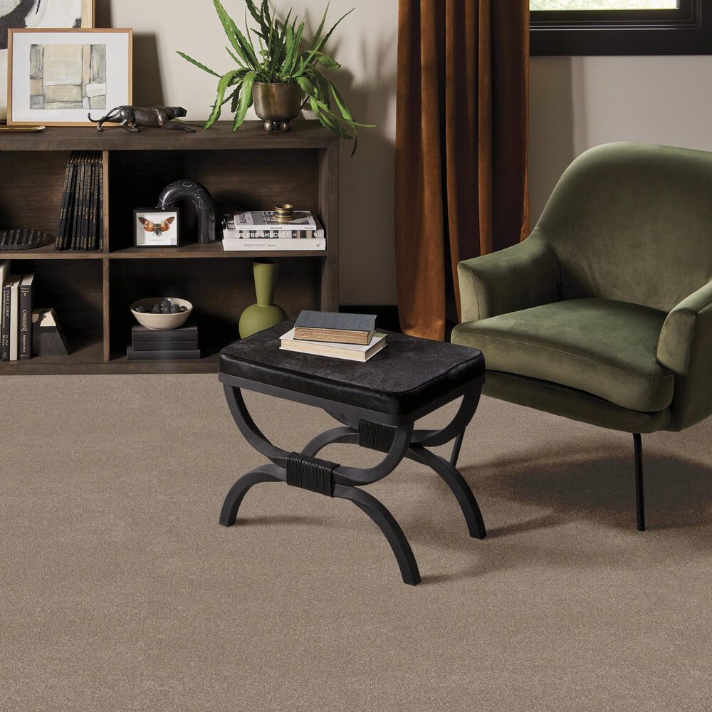 Philadelphia Delicate Feel II Carpet in Stonecrest, , large