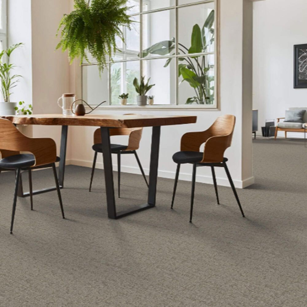 Dixie Home Genuine Carpet in Undeniable, , large