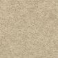 Godfrey-Hirst Inspiring Selection Carpet in Nutria, , large
