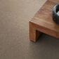 Anderson Tuftex West Peak Carpet in Crushed Pearl, , large