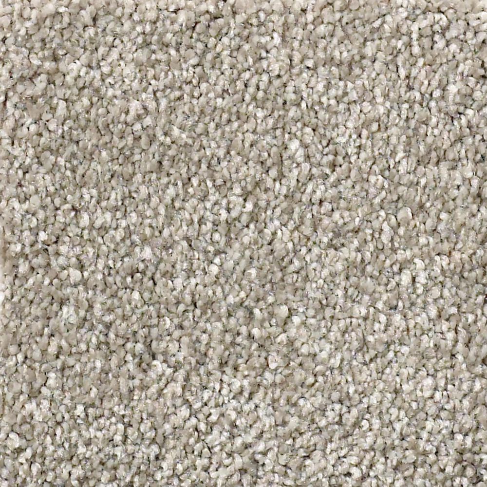 Shaw Your Comfort I Carpet in Back Patio, , large