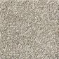Shaw Your Comfort I Carpet in Back Patio, , large