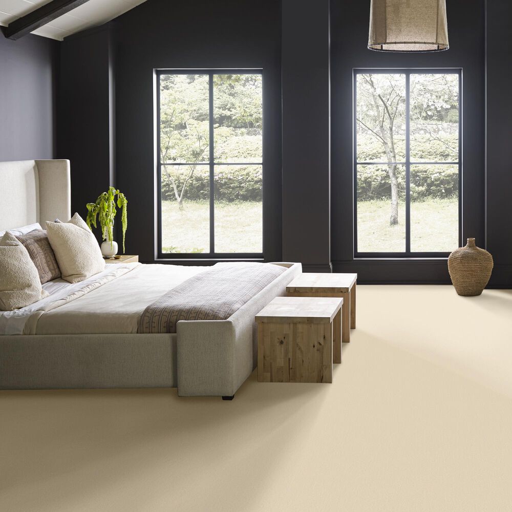 Anderson Tuftex Finery Carpet in Swiss Alps, , large