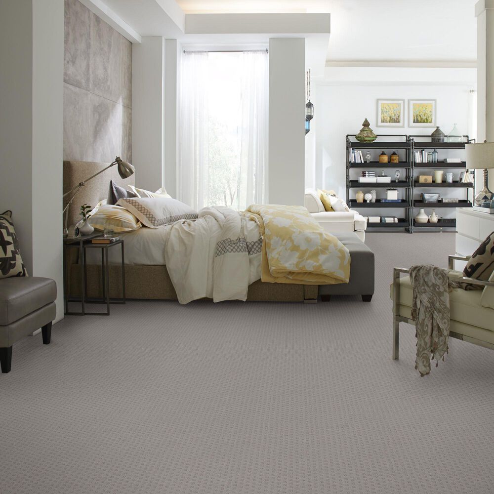 Anderson Tuftex Narrow Creek Carpet in Lady in Grey, , large