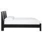 Ashley Danziar Queen Slat Panel Bed in Matte Black, , large