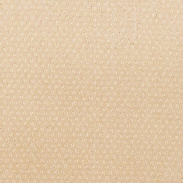Karastan Greenwich Spirit Carpet in Bedford, , large