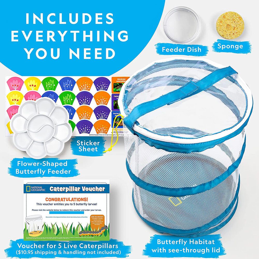 National Geographic Butterfly Growing Kit, , large