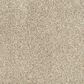 Godfrey-Hirst Enduring Elements Carpet in Pathfinder, , large