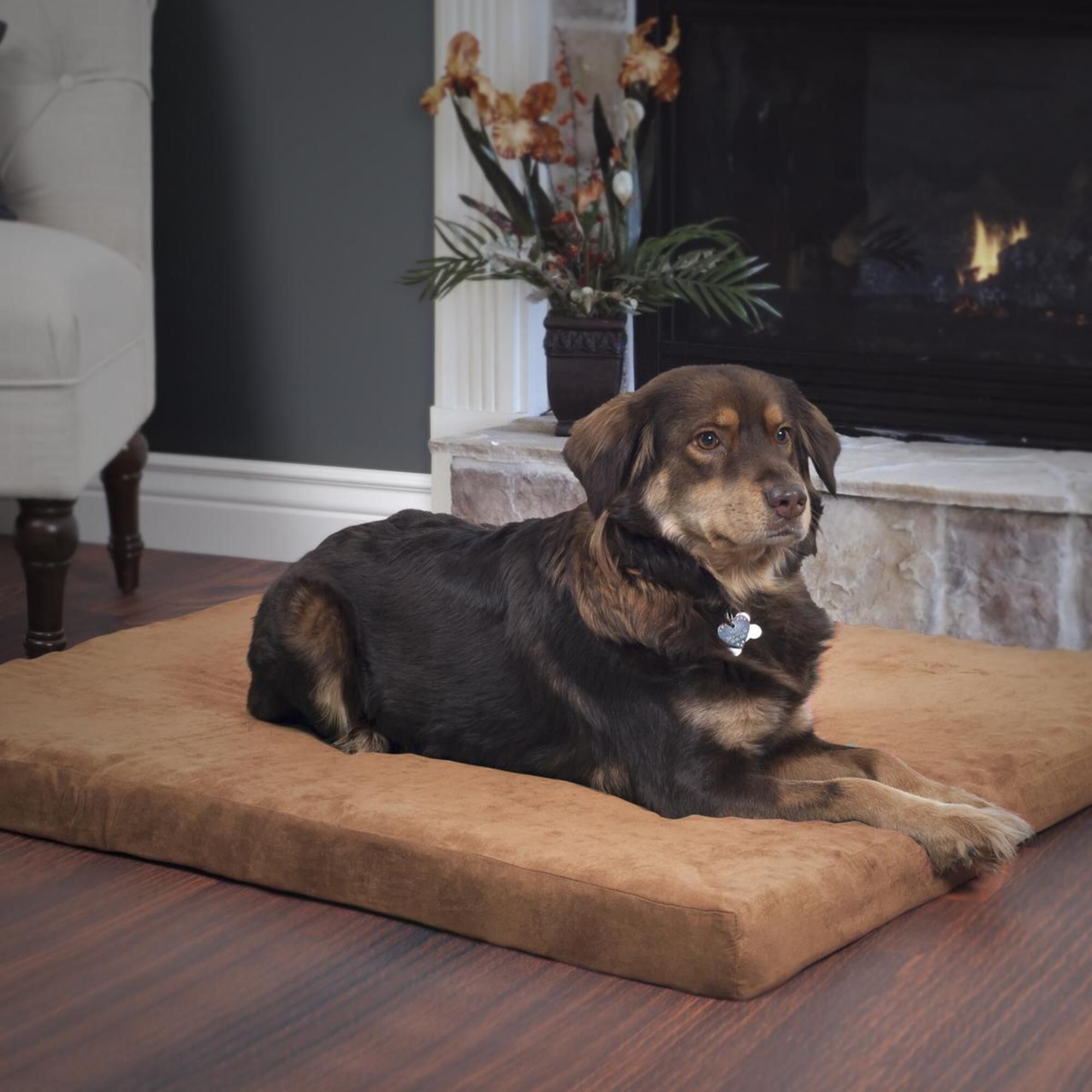 Foam pet bed sale