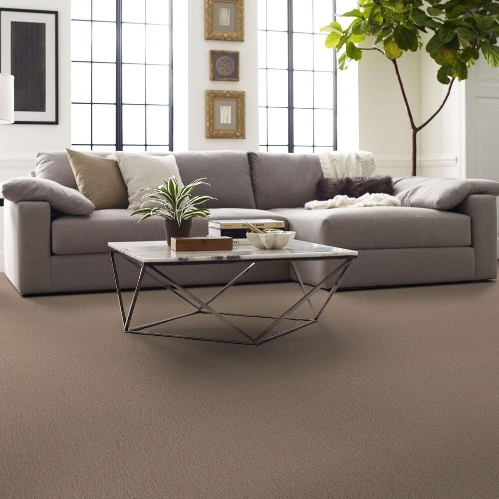 Shaw Studio Set Carpet in Worn Path, , large