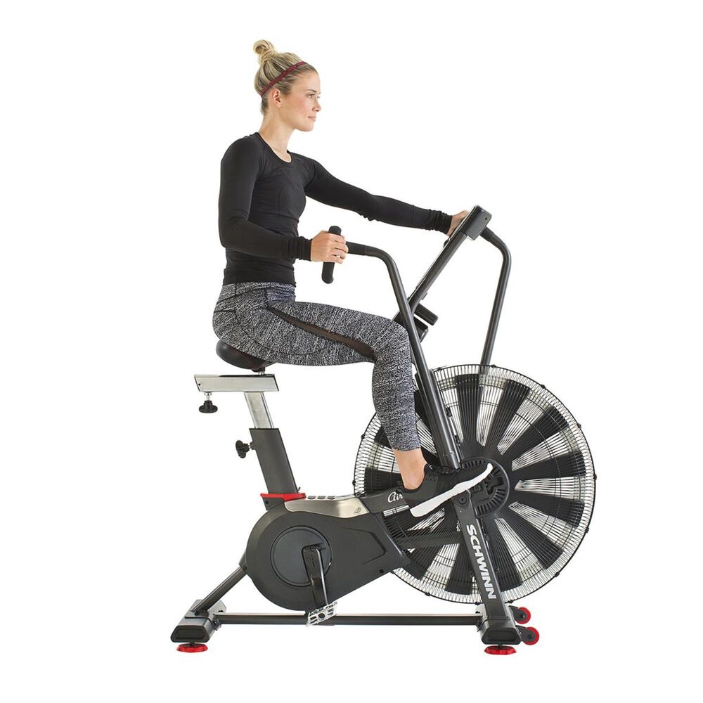 Schwinn AD7 Airdyne Bike, , large