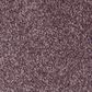 Mohawk Memorable View Carpet in Velvet Lining, , large