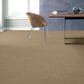 Shaw Foundations Alluring Disposition Carpet in Espresso, , large