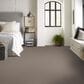 Shaw Austin Park Carpet in Open Canyon, , large