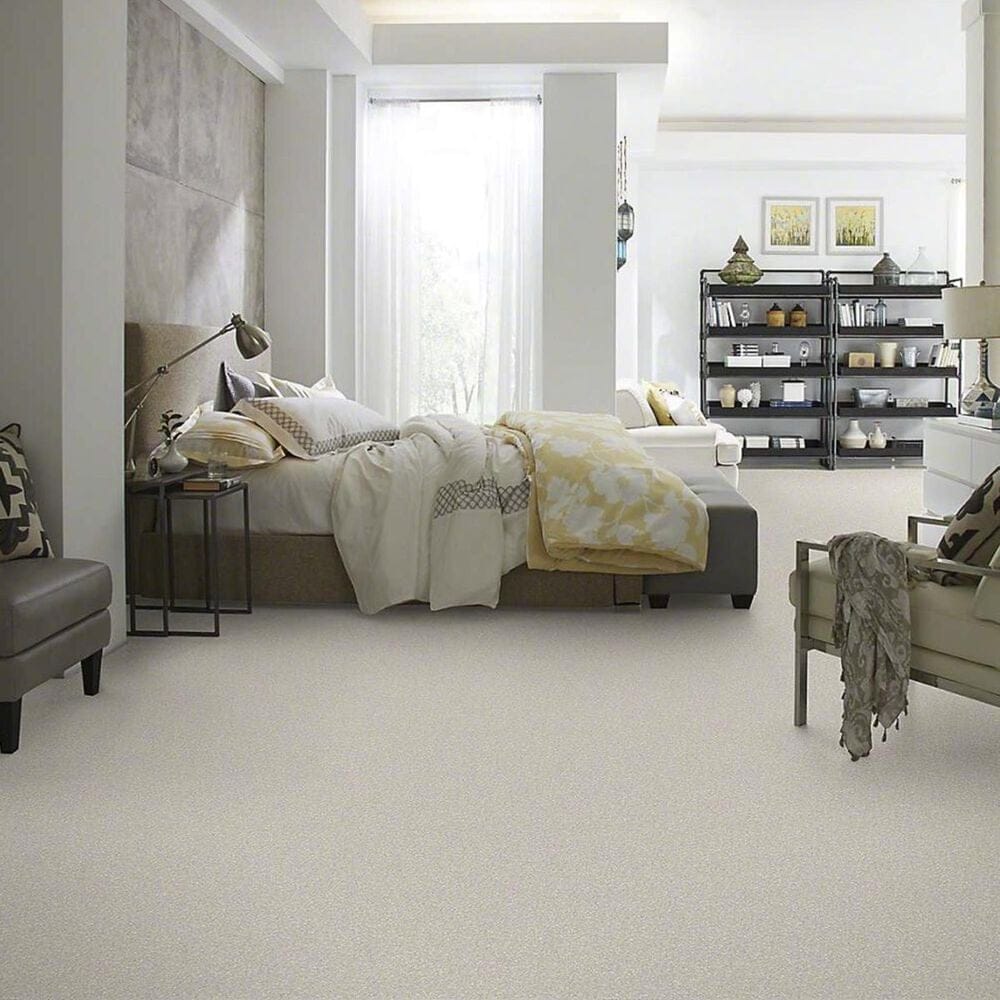 Anderson Tuftex Barracan Classic III Carpet in Bismuth, , large