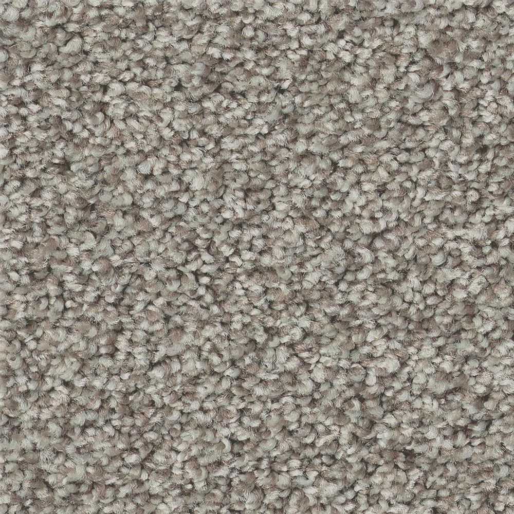 Shaw Tonal Comfort II Carpet in Back Patio, , large