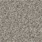 Shaw Tonal Comfort II Carpet in Back Patio, , large