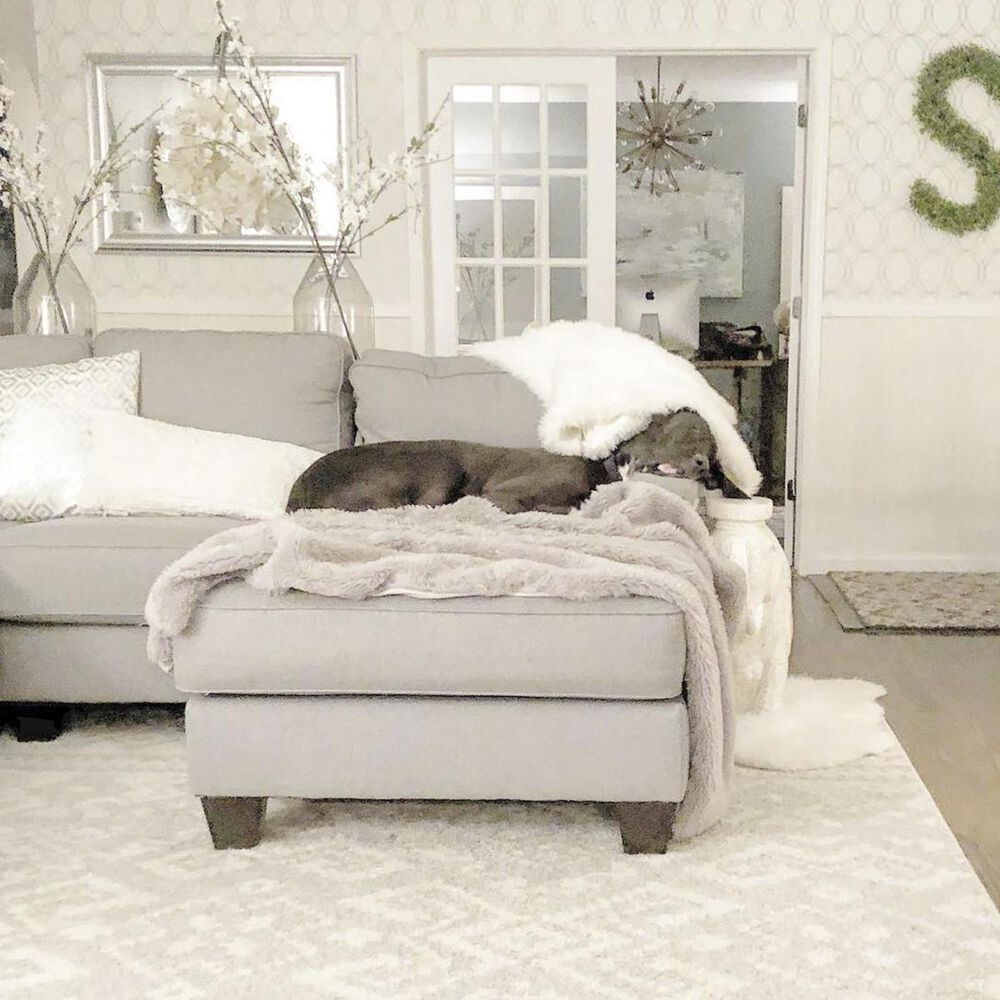 Safavieh Adirondack ADR107S 3&#39; x 5&#39; Ivory and Slate Area Rug, , large
