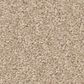 Shaw Las Cruces Carpet in All Natural, , large