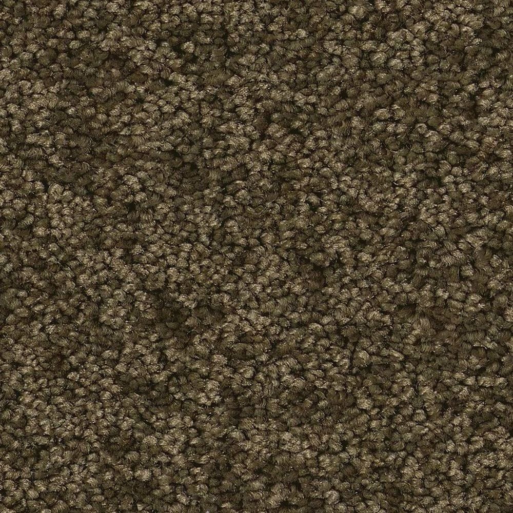 Anderson Tuftex Enchanting Carpet in Dark Olive, , large