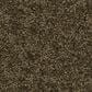 Anderson Tuftex Enchanting Carpet in Dark Olive, , large