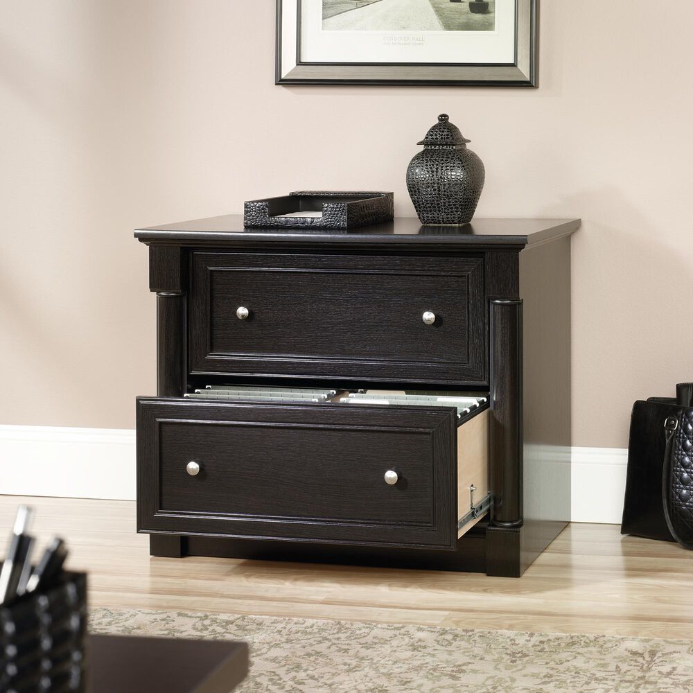 Sauder Palladia 2-Drawer Lateral File Cabinet in Wind Oak, , large