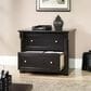 Sauder Palladia 2-Drawer Lateral File Cabinet in Wind Oak, , large