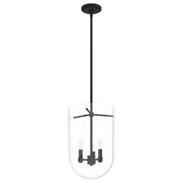 Hunter Sacha 3-Light Cloche Pendant in Natural Iron, , large