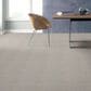 Anderson Tuftex Renoir Carpet in Gentle Gray, , large