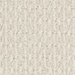 Anderson Tuftex Moondance Carpet in Restful, , large