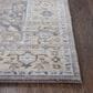 RIZZY Gossamer 10" x 13" Rug, , large