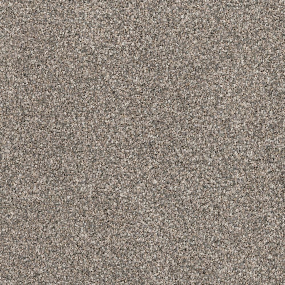 Dixie Home Bella Carpet in Greyhound, , large