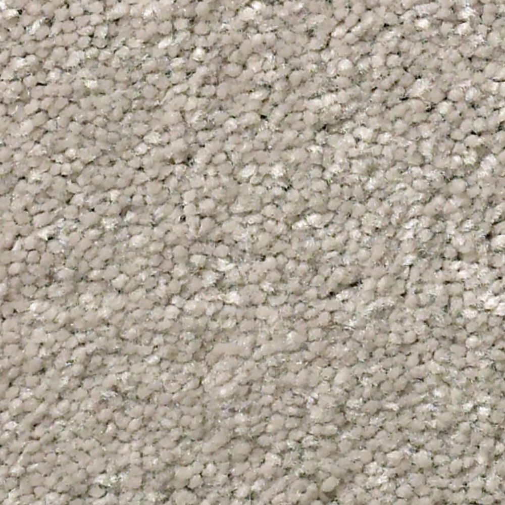 Shaw Well Grounded I 12" Carpet in Greige, , large