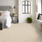 Anderson Tuftex Mixtura Carpet in Botticino, , large