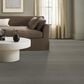 Anderson Tuftex West Creek Carpet in Pebble Beach, , large