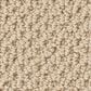 Anderson Tuftex Gracious Carpet in Treasure, , large