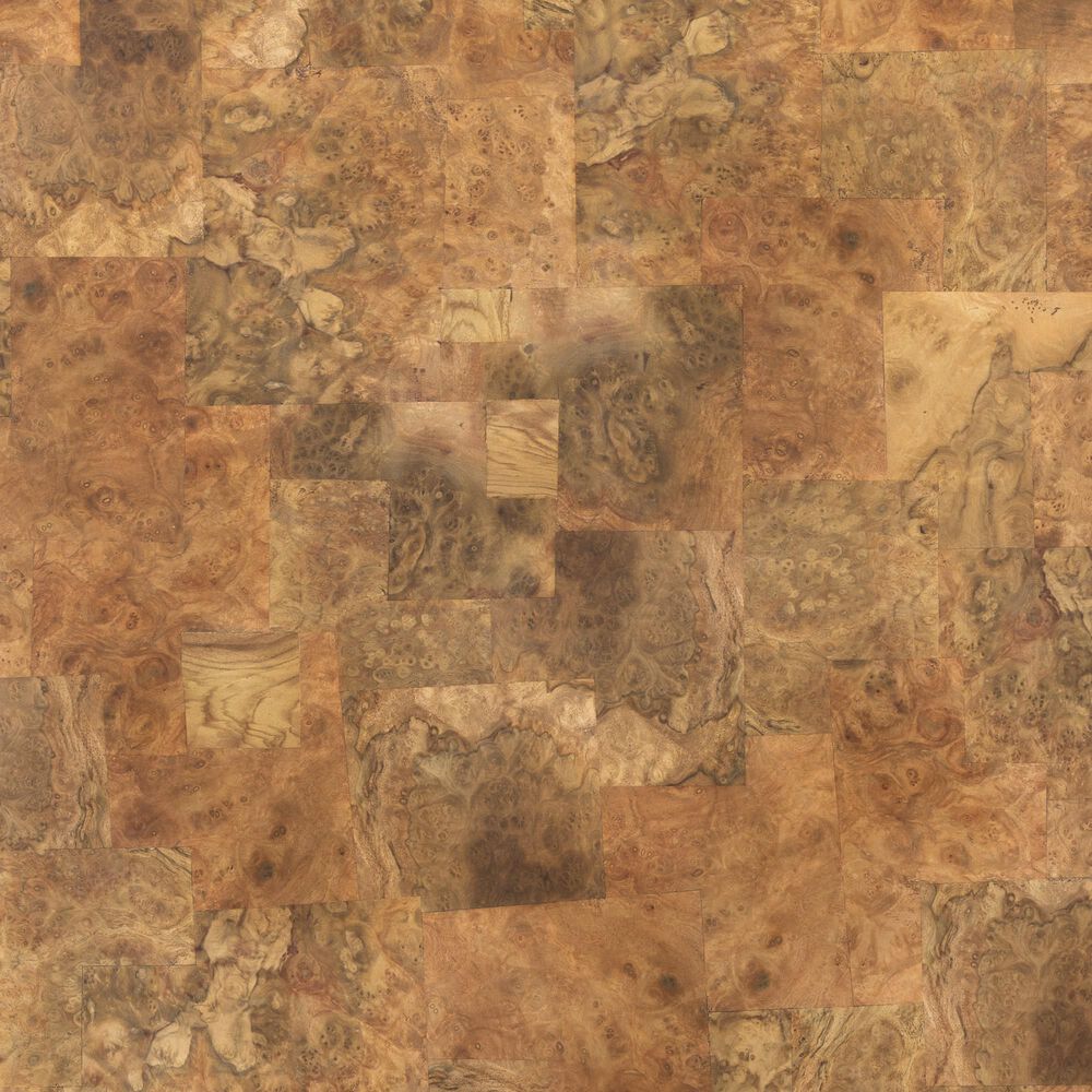 Four Hands Grass Roots Blanco Coffee Table in Warm Umber Burl, , large
