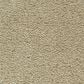 Mohawk Gentle Guardian lV Carpet in Husk, , large