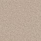Dream Weaver Cape Cod Carpet in Oxford, , large