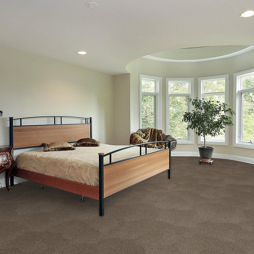 Dream Weaver Serene II Carpet in Cinnabar, , large