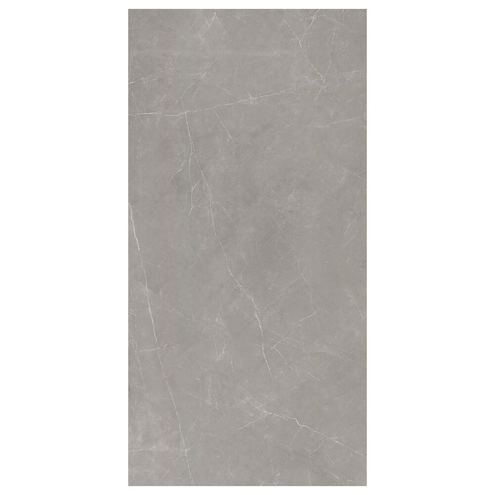 Emser Sterlina II Dove 24" x 47" Matte Porcelain Tile, , large