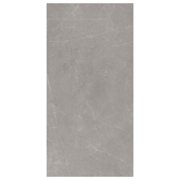 Emser Sterlina II Dove 24" x 47" Matte Porcelain Tile, , large