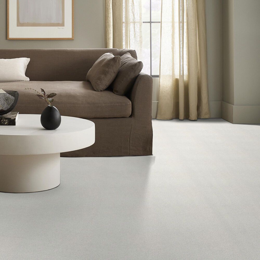 Shaw Tonal Comfort Ii Carpet in Neighborhood Bistro, , large