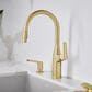 Blanco Rivana Pull-Down Kitchen Faucet 1.5 GPM in Satin Gold, , large