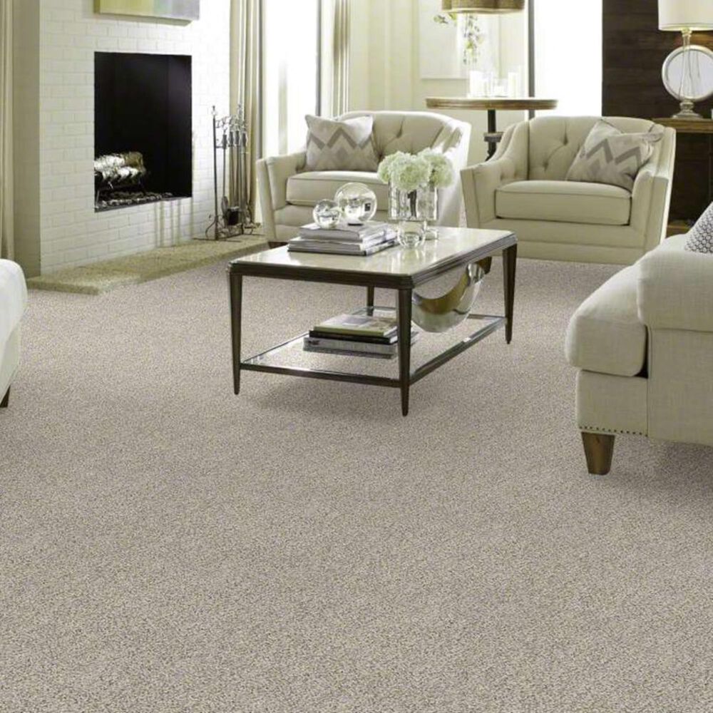 Shaw Make It Work Carpet in Ambiance, , large