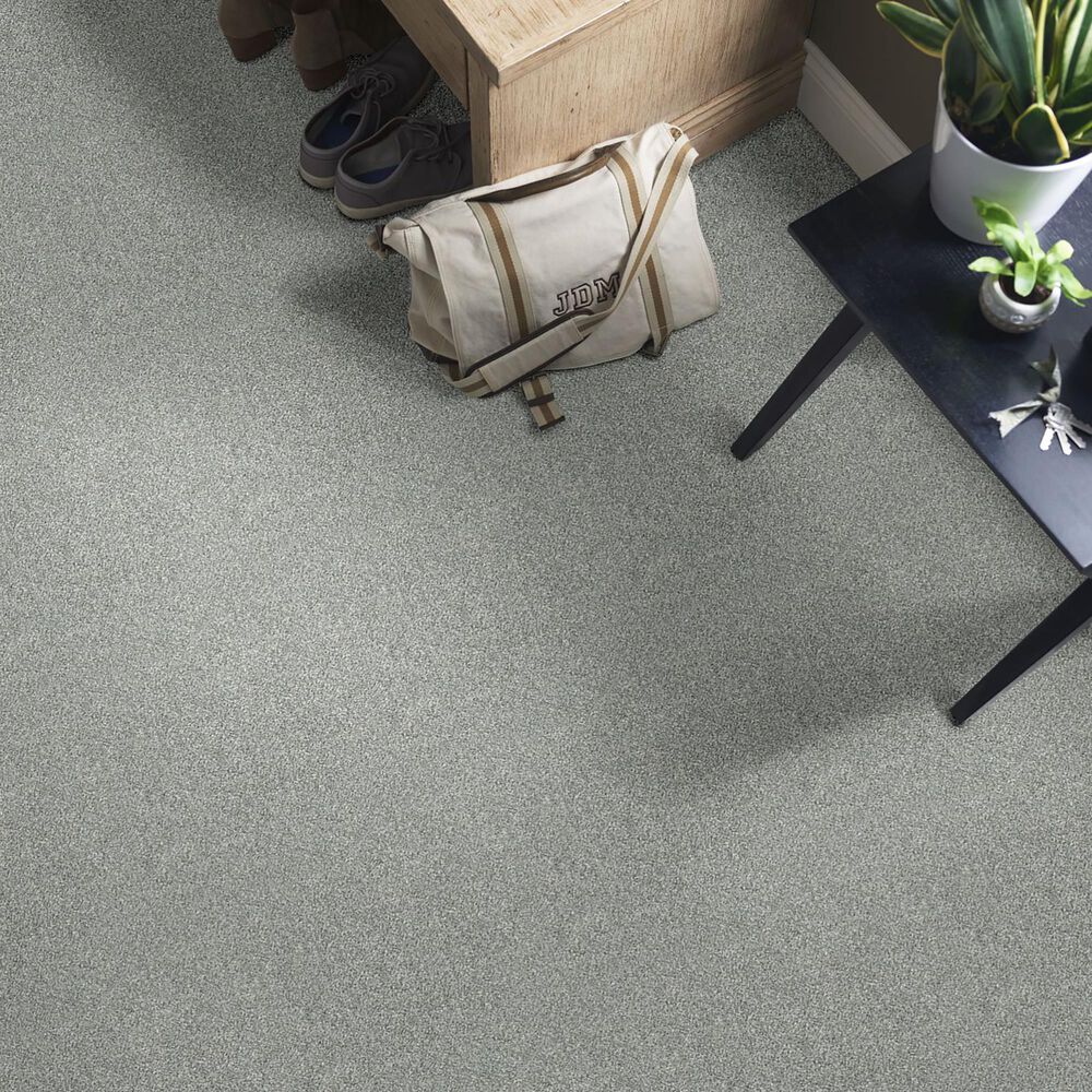 Shaw Simply the Best Attainable Carpet in Sterling, , large