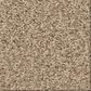 Shaw Comforting I Carpet in Picket Fence, , large